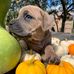 Melissa Rockey - Facebook