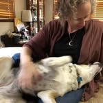 Melissa Rohde-Cherullo - @rohdecherullo - Instagram