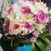 Melissa Roof - Facebook
