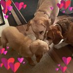 Melissa Roofner - @melissaroofner - Instagram
