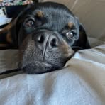 Melissa Rossetti - Facebook