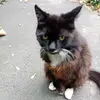 Melissa - @melissa0rourke - TikTok