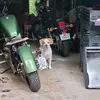 Melissa Rourke - @melissa.rourke - TikTok