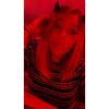 Melissa_rouse - @melissa_rouse - TikTok