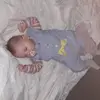 Melissa Royen - @melissaroyen - TikTok