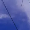 阿部.加奈 - @melissaroyeoirjvye - TikTok