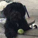 Melissa Rubel Platt - @melissa.platt72 - Instagram