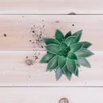 Melissa Rutter - @thisdetouredjourney - Instagram