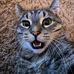 Melissa Rutter - Facebook