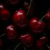 Melissa - @melissa_sabo - TikTok