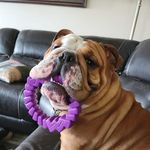 Melissa Sample - @sample7698 - Instagram