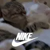 Melissa Santangelo - @melissa.santangel - TikTok
