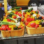 Melissa Gulayan Scala - @melissascalaproduce - Instagram