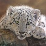 Melissa Schatzmann ✏️🇨🇦 - @melissa.schatzmann.art - Instagram