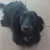 Melissa Scheid - @melissa.scheid - TikTok