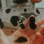 melissa Fernandes Scheidt - @melsinha1304 - Instagram