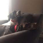Melissa Scheuerman - @ms100151 - Instagram