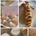 Melissa Schmit - Facebook
