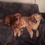 Melissa Schreck - Facebook