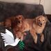 Melissa Schreck - Facebook