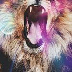 Melissa schunk - @melissaschunk - Instagram