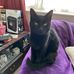 Melissa Seager - Facebook
