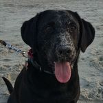 Melissa Sebring - @melissa.sebring.7 - Instagram