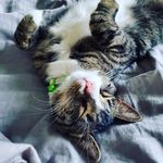 Melissa Anne Seeger - @melissa.a.seeger - Instagram