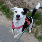 Melissa Seidel - @katzenschreck2.0 - Instagram