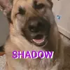 Melissa Sessions - @melissa.sessions - TikTok