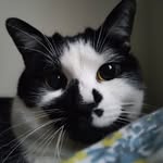 Melissa Severson - @emaymel - Instagram