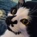 Melissa Severson - Facebook