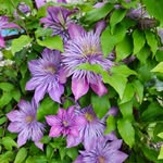 Melissa Severson Patrick - @melissaseversonpatrick - Instagram