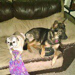 Melissa - @melissasevigny1967 - Instagram