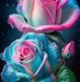 Melissa Sharp - Facebook