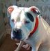 Missy Sheldrake - Facebook