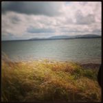 Melissa Shilling - @lyfecteela - Instagram