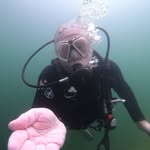 Melissa Shilling - @shillingm - Instagram
