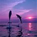Melissa Shilling - Facebook