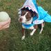 Melissa Shingleton - Facebook