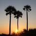 Melissa Shirk - Facebook