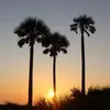 Melissa Shirk - @melissa.shirk - TikTok