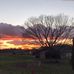 Mel Shoffner - Facebook