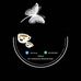 Mel Shoop - Facebook
