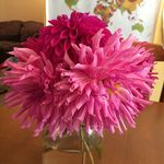 Melissa Shoop - @melissa.shoop - Instagram