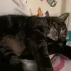 Melissa Sisson - @melissa.sisson - TikTok