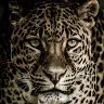 Melissa Skaggs - @user3367203814693 - TikTok