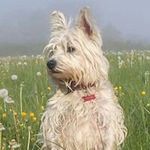 Melissa Ann Susan Sneath - @melissasneath - Instagram