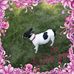 Melissa Sukup - Facebook
