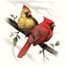Melissa Sowell Glazener - Facebook